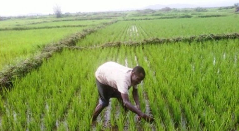 Agriculture